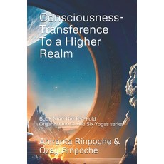 (英文圖書) Consciousness-Transference To a Higher Realm: Book Nine The Ten-Fold Organisati... 平裝版, Independently Published, 英文