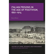 Italian Prisons in the Age of Positivism 1861-1914 精裝版, Continnuum-3PL, 英文