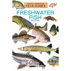 (英文圖書)Freshwater Fish Library Binding, Field Guides, 英文, 圖書館裝訂