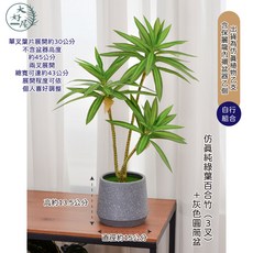 大好屋仿真百合竹觀葉植物盆組，仿真綠植室內裝飾，免澆水人造盆栽，拍照道具, 仿真【純綠葉】百合竹3叉+灰色圓筒盆, 1個
