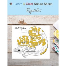 (英文圖書) Reptiles 平裝版, Learn & Color Books, 英文