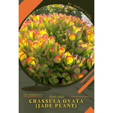 (英文圖書) Crassula ovata (Jade plant): Plant Guide 平裝版, Independently Published, 英文