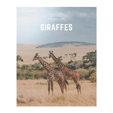 (英文圖書) Giraffes: A Decorative Book │ Perfect for Stacking on Coffee Tables & Boo... 平裝版, Independently Published, 英文
