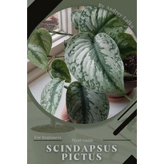 (英文圖書) Scindapsus Pictus: Plant Guide 平裝版, Independently Published, 英文