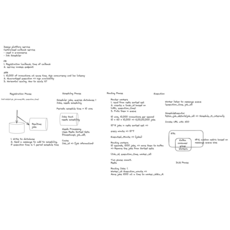 Hongbin Test 5555, Green, 2卷