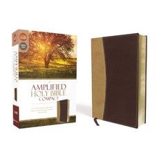 (英文圖書) Amplified Bible-Am-Compact: Captures the Full Meaning Behind the Original Greek and Hebrew Imitation Leather, Zondervan, 英文, 仿皮