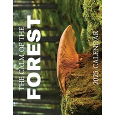 (英文圖書) The Calm of the Forest 2025 Calendar 平裝版, Baldega Books, 英文