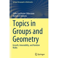 (英文圖書) Topics in Groups and Geometry: Growth Amenability and Random Walks 平裝版, Springer, 英文