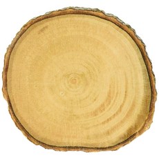 FOSTER & RYE 原木杯墊 4件組, 木頭