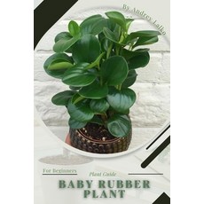 (英文圖書) Baby Rubber Plant: Prodigy Petal Plant Guide 平裝版, Independently Published, 英文