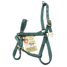 Hamilton Products 阿拉伯馬籠頭實心黃銅普通馬術裝備（僅限 360-500 公斤）, 1個, 深綠色