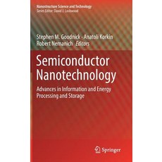 (英文圖書) Semiconductor Nanotechnology: Advances in Information and Energy Processing and Storage 精裝版, Springer, 英文