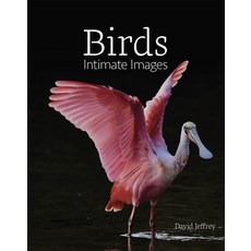 Birds: Intimate Images 精裝版, Orange Frazer Press, 英文
