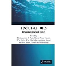 Fossil Free Fuels: Trends in Renewable Energy 精裝版, CRC Press, 英文
