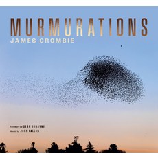 (英文圖書) Murmuration 精裝版, Lilliput Press, 英文
