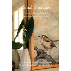 (英文圖書) Small mercies 平裝版, Jodi Hills, 英文