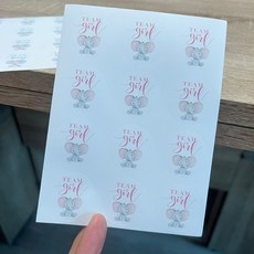 性別揭示貼紙 一張12個標籤 性別派對遊戲團隊貼紙 男孩女孩性別揭曉派對佈置, 粉