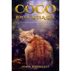 (英文圖書) Coco: Joy of After-Life (A Journey Beyond Death and into the Heavens) 平裝版, Createspace Independent Pub..., 英文