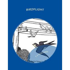 (英文圖書)Birdflight: A Science Drama Playscript 平裝版, Createspace Independent Pub..., 英文