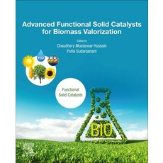 Advanced Functional Solid Catalysts for Biomass Valorization 平裝版, Elsevier, 英文