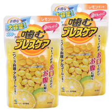 KOBAYASHI 小林製藥 咀嚼型清新口氣錠 檸檬薄荷 100顆入, 2個, 63g