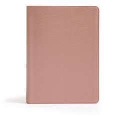 CSB She Reads Truth Bible Rose Gold Leathertouch(r) Indexed Black Letter Full-Color Design Wide... Imitation Leather, Holman Bibles, 英文, 仿皮