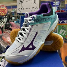 Mizuno 美津濃 專業羽球鞋 Gate Sky 2 71GA194067