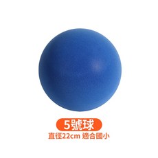 靜音籃球 海綿球 室內籃球 兒童籃球 在家練運球, 詳見包裝, 詳見包裝, 純藍色5號球(適合國小)
