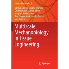 Multiscale Mechanobiology in Tissue Engineering 平裝版, Springer, 英文