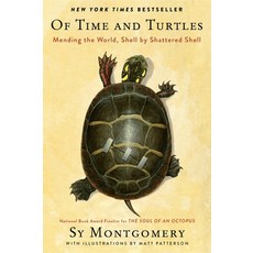 (英文圖書) Of Time and Turtles: Mending the World Shell by Shattered Shell 平裝版, Mariner Books, 英文