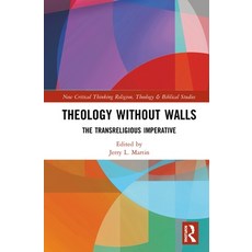 Theology Without Walls: The Transreligious Imperative 精裝版, Routledge, 英文