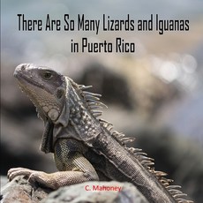 (英文圖書) There Are So Many Lizards and Iguanas in Puerto Rico 平裝版, Independently Published, 英文