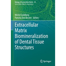 (英文圖書) Extracellular Matrix Biomineralization of Dental Tissue Structures 平裝版, Springer, 英文