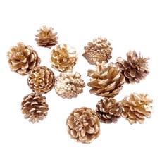 小NG 松果聖誕節裝飾乾燥松毬花圈素材 金色小松果-100入 DIY 聖誕樹裝飾 佈置裝飾 拍照道具, 金色, 1個