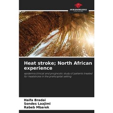 (英文圖書) Heat stroke; North African experience 平裝版, Our Knowledge Publishing, 英文
