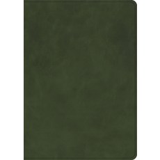 (英文圖書) CSB She Reads Truth Bible Holman Handcrafted Collection Olive Premium Calfskin Leather, Holman Bibles, 英文, 皮革