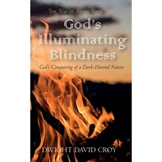 (英文圖書) God's Illuminating Blindness 精裝版, Resource Publications (CA), 英文