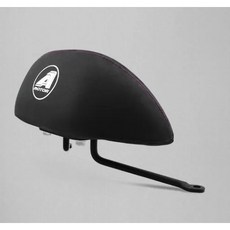 少年家 AEON宏佳騰原廠後靠背 適用STR 300 STR 250 機車改裝, 1個