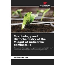 (英文圖書) Morphology and Histochemistry of the Midgut of Anticarsia gemmatalis 平裝版, Our Knowledge Publishing, 英文