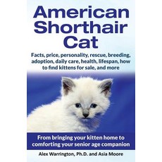 American Shorthair Cat: From bringing your kitten home to comforting your senior age companion 平裝版, Worldwide Information Publi..., 英文