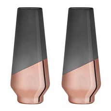 VISKI 水晶香檳杯, 2件