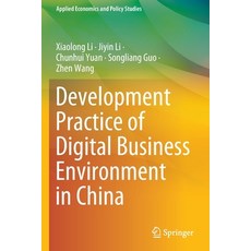 (英文圖書) Development Practice of Digital Business Environment in China 平裝版, Springer, 英文