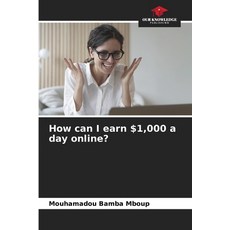 (英文書) How can I earn $1 000 a day online? 平裝版, 我們的知識出版社, 英文