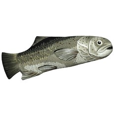 BOSTON WAREHOUSE 肉鮭魚烤箱手套, 1個, 混色