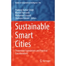 (英文圖書) Sustainable Smart Cities: Theoretical Foundations and Practical Considerations 平裝版, Springer, 英文