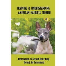(英文圖書) Training & Understanding American Hairless Terrier: Instruction To Avoid Your Dog Being An Un... 平裝版, Independently Published, 英文
