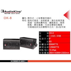 AudioKing ok-8 專業喇叭 (含吊架)