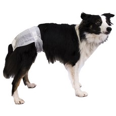 POOCH PAD 寵物狗用尿布, 12件, 中型, 1入