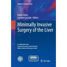 (英文圖書) Minimally Invasive Surgery of the Liver 精裝版, Springer, 英文