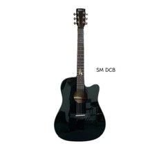識樂音樂工作室 享彈 Playenjoy 吉他 SM DCB 面單 超優惠大放送 附零配件